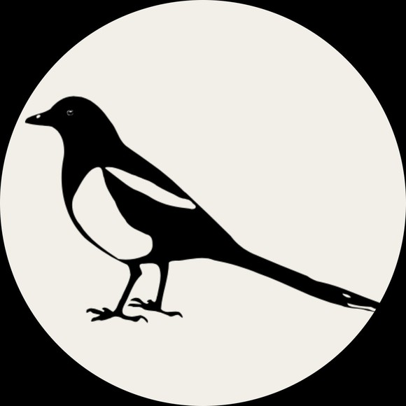 mrmagpie